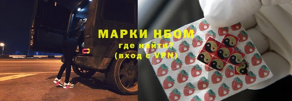 прущие грибы Балахна