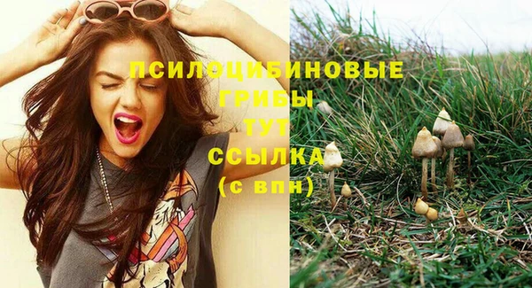 прущие грибы Балахна