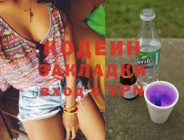 прущие грибы Балахна