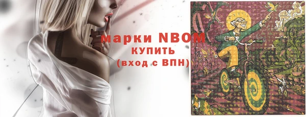 прущие грибы Балахна