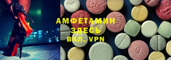 прущие грибы Балахна